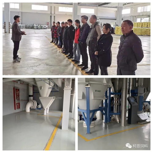 規(guī)模養(yǎng)殖服務(wù)商之清潔工廠：柯百微在行動(dòng)