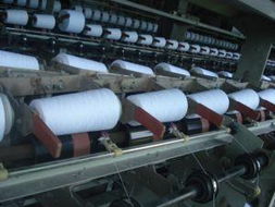 蒼南縣望里鎮(zhèn)海島清潔用品廠 專業(yè)清潔服務(wù)，守護環(huán)境之美