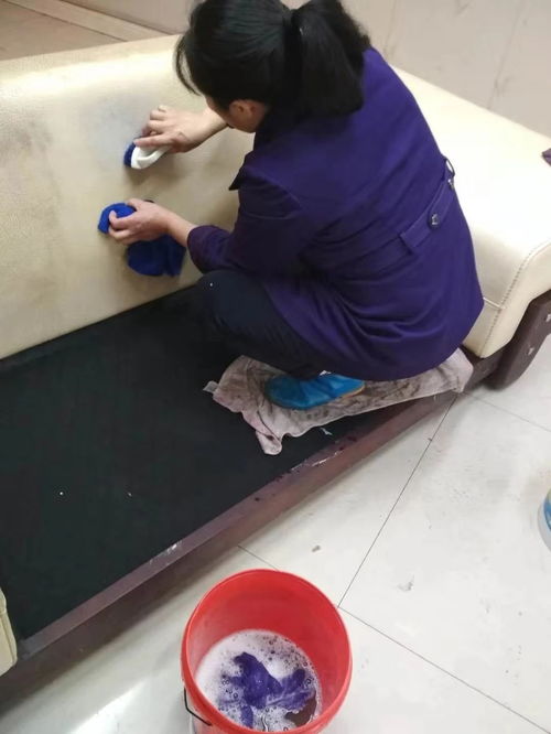 重慶專(zhuān)業(yè)清潔服務(wù) 日常保潔、開(kāi)荒保潔與高層外墻清洗全方位指南