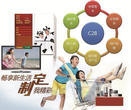 家電定制 撬動(dòng)家用電器互聯(lián)網(wǎng)銷(xiāo)售的個(gè)性化營(yíng)銷(xiāo)新引擎